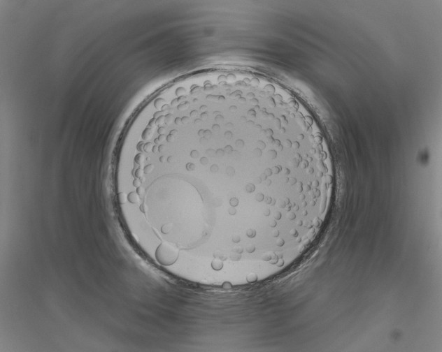 X0000116831331201001291635