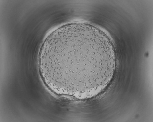 X0000116831335201001291635