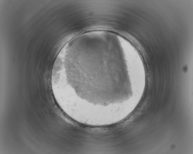 X0000116831337201001291635