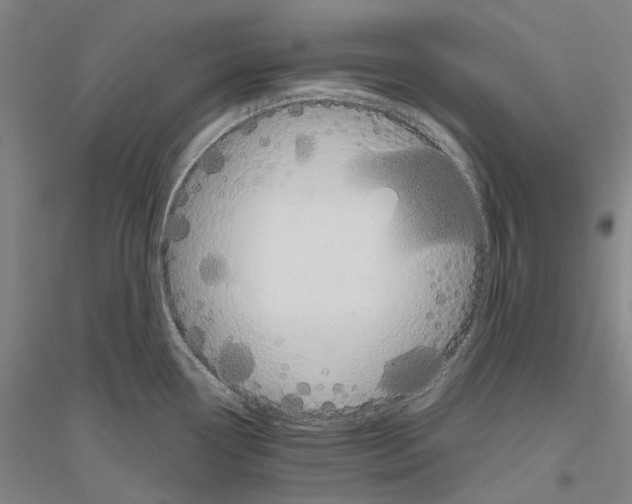 X0000116831338201001291635