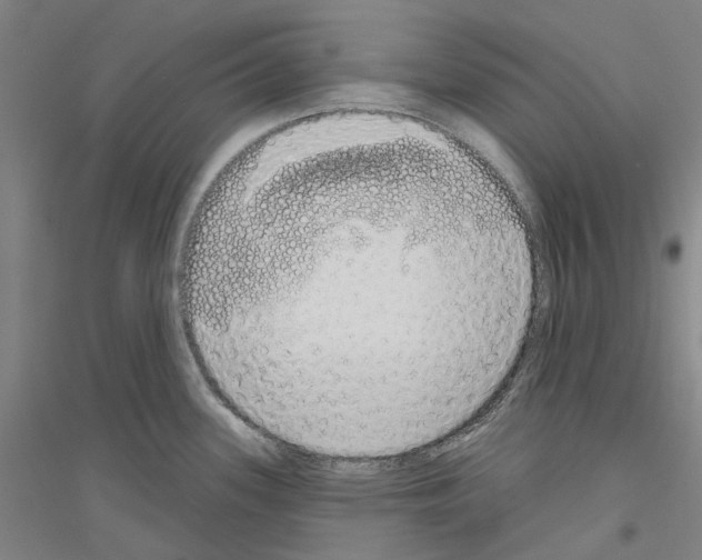 X0000116831339201001291635