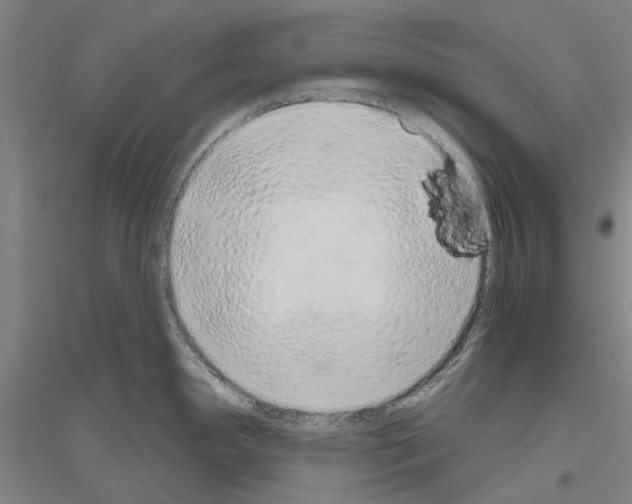 X0000116831341201001291635