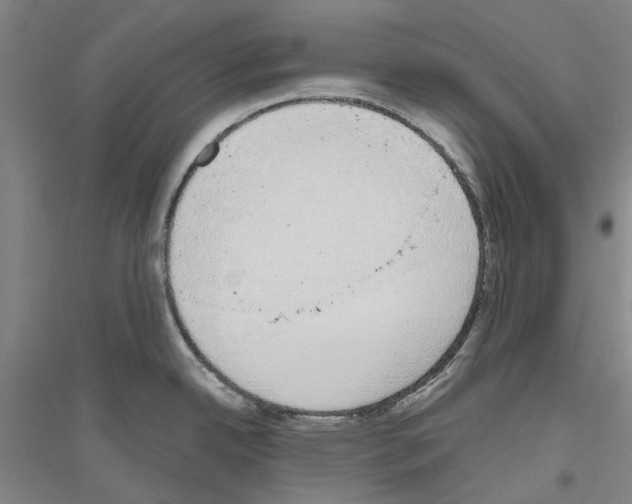 X0000116831342201001291635