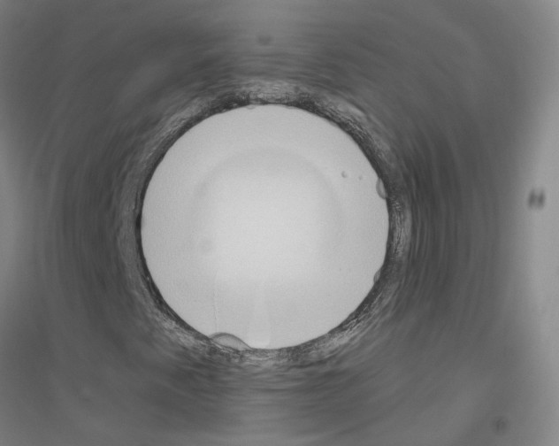 X0000116831345201001291634