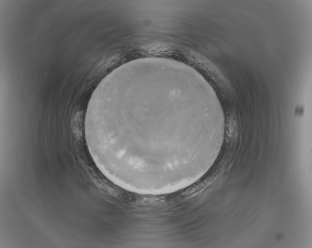 X0000116831346201001291634