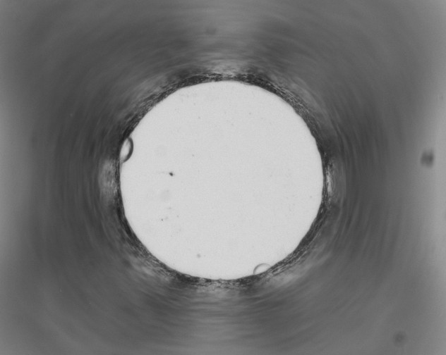 X0000116831347201001291634