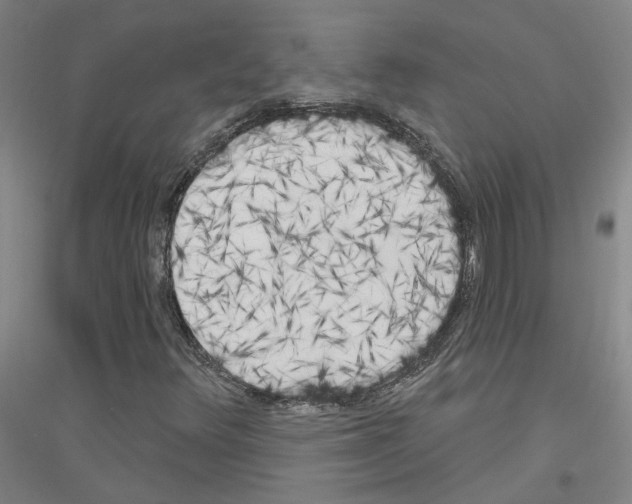 X0000116831348201001291634