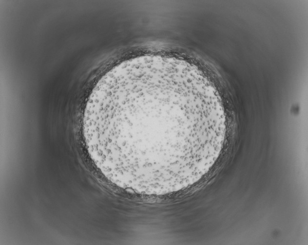 X0000116831349201001291634