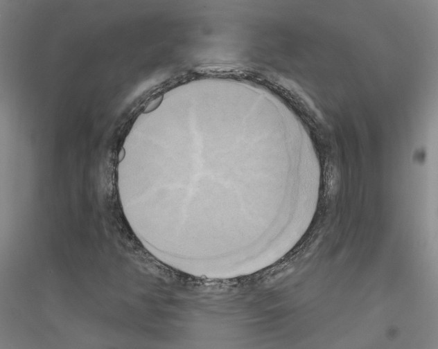 X0000116831350201001291634