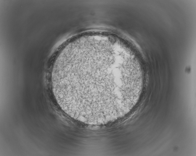 X0000116831352201001291634