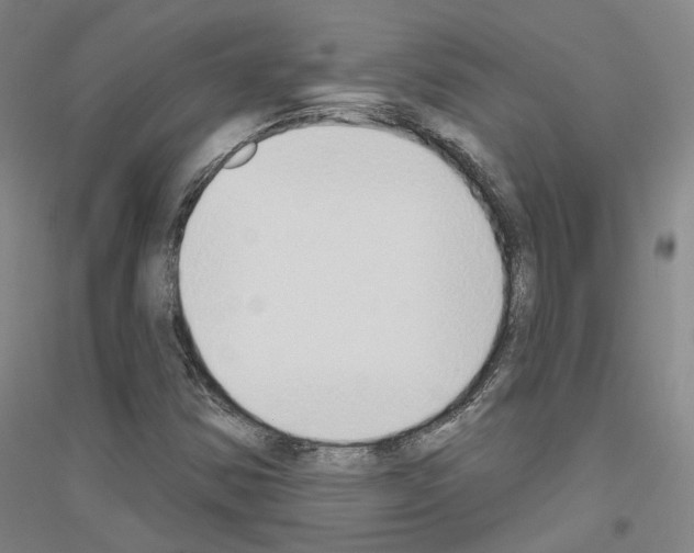 X0000116831354201001291634