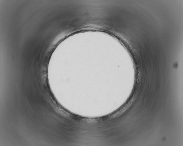 X0000116831355201001291634