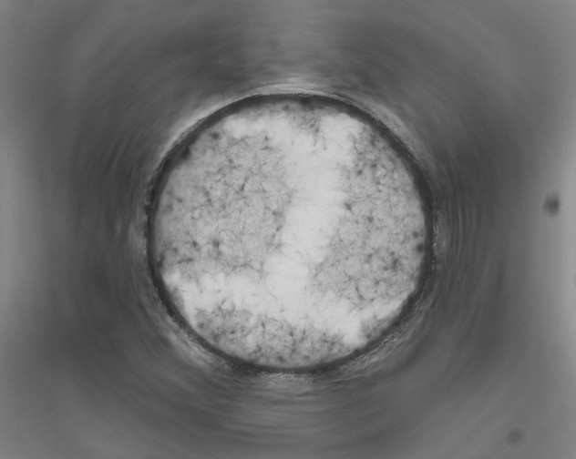 X0000116831356201001291634