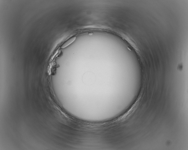 X0000116831357201001291634