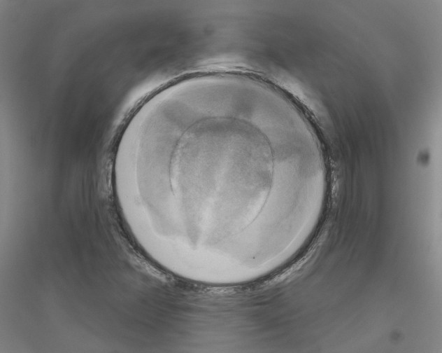 X0000116831358201001291634