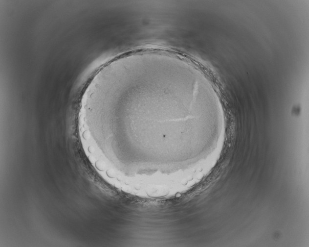 X0000116831359201001291634