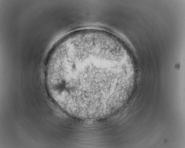 X0000116831360201001291634