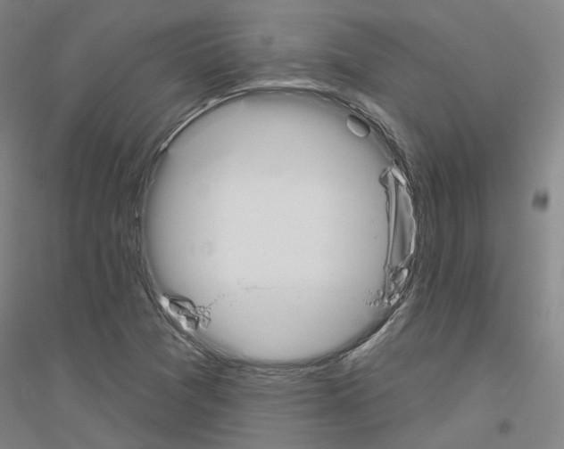 X0000116831361201001291634