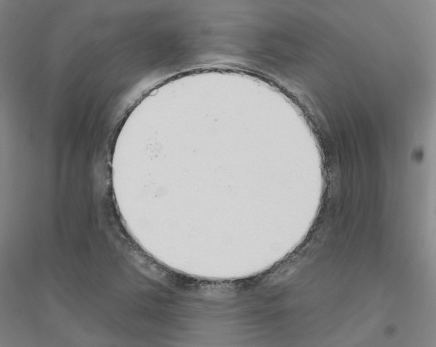 X0000116831363201001291634