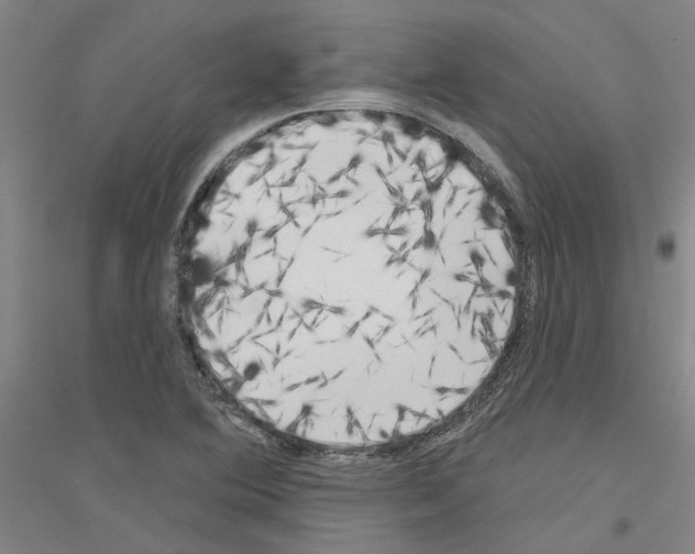 X0000116831364201001291634