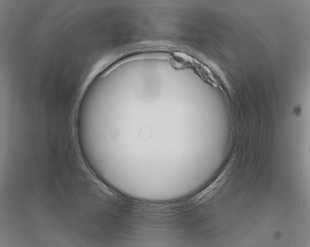 X0000116831365201001291634