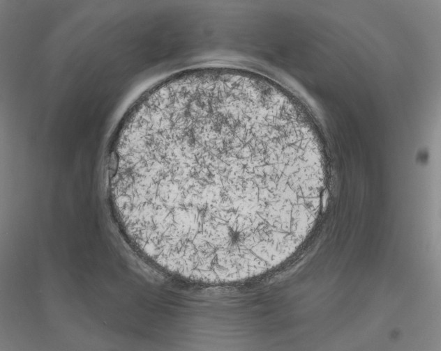 X0000116831368201001291634