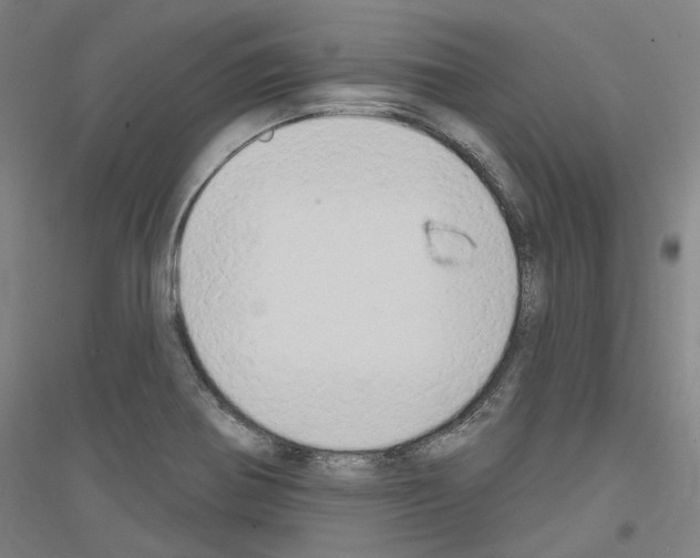 X0000116831370201001291634