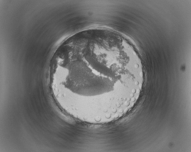 X0000116831371201001291634