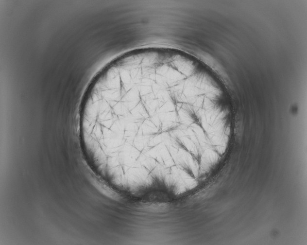 X0000116831372201001291634