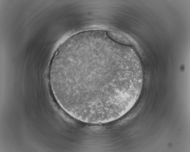 X0000116831373201001291634