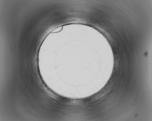 X0000116831375201001291634