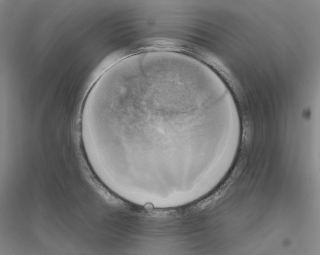 X0000116831378201001291634