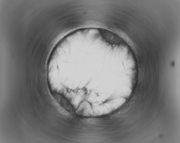 X0000116831380201001291634