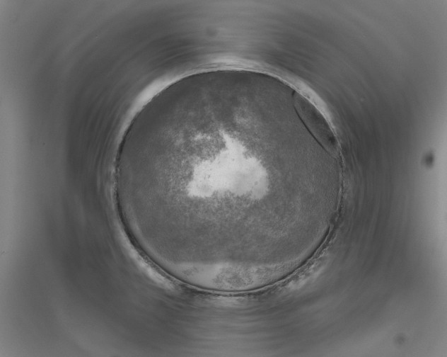 X0000116831381201001291634