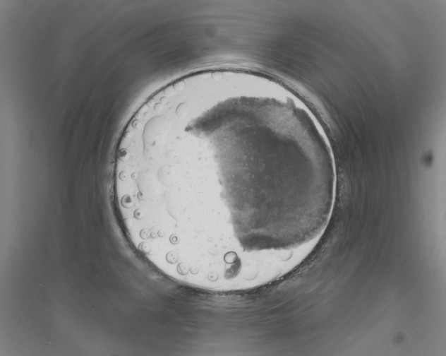 X0000116831383201001291634