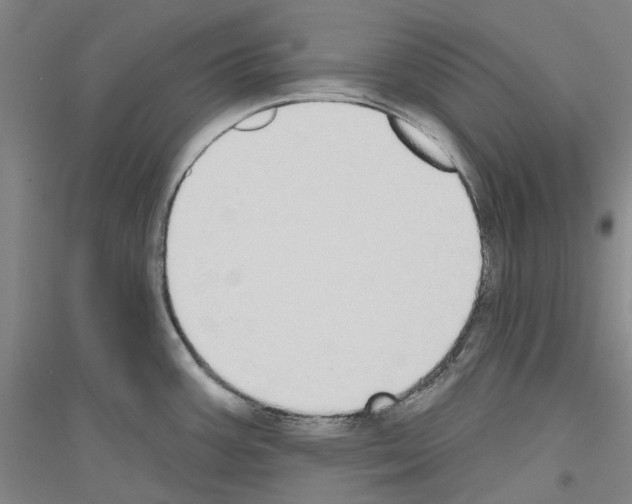 X0000116831387201001291634