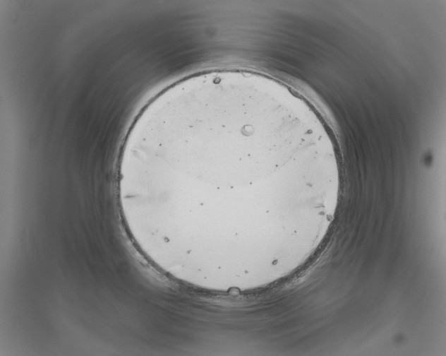 X0000116831388201001291634