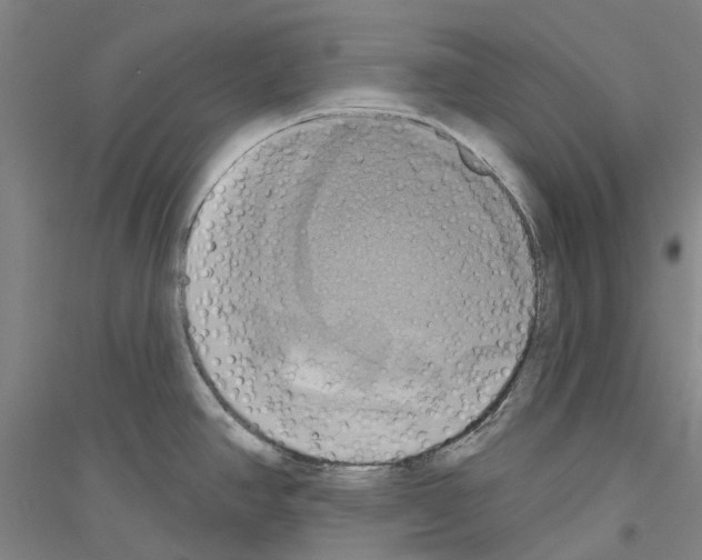 X0000116831390201001291634