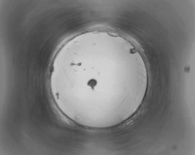 X0000116831392201001291634