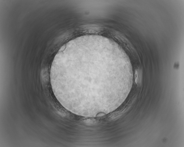 X0000116831395201001291633