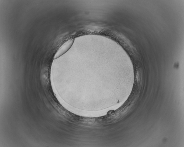 X0000116831396201001291633