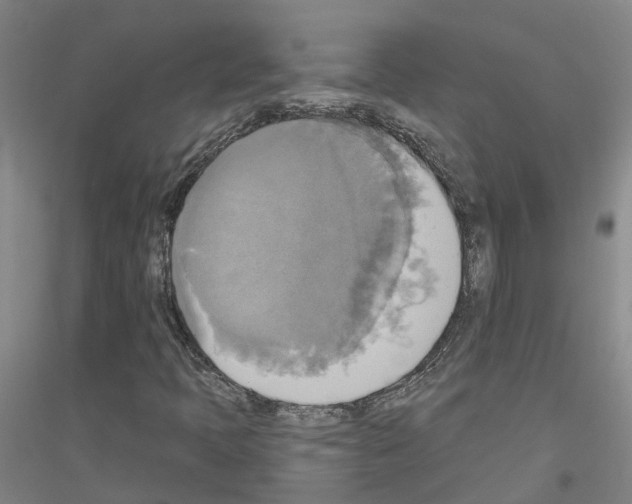 X0000116831397201001291633