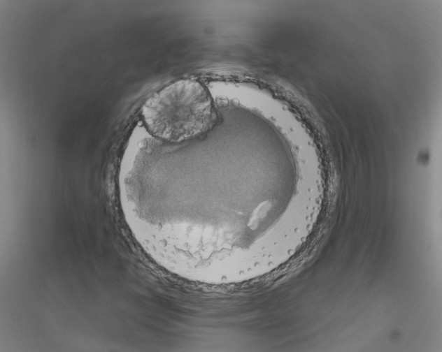 X0000116831398201001291633