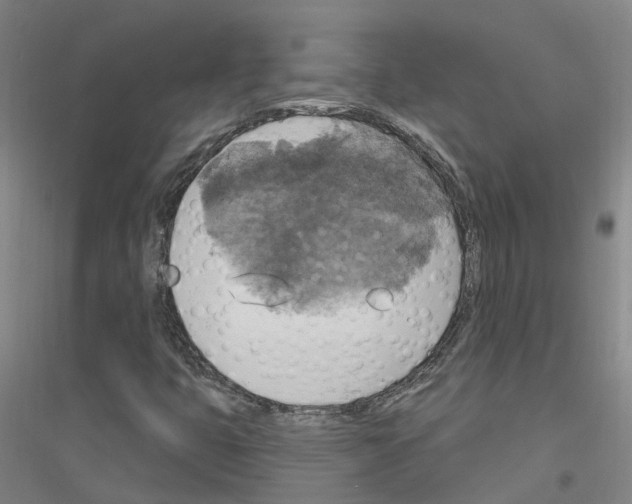 X0000116831399201001291633