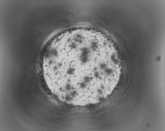 X0000116831400201001291633