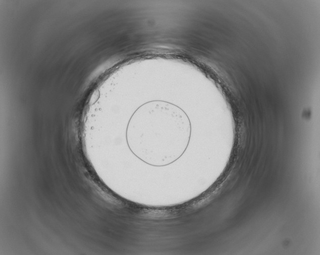 X0000116831402201001291633