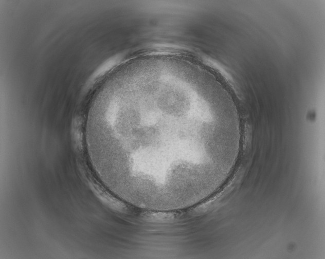 X0000116831403201001291633