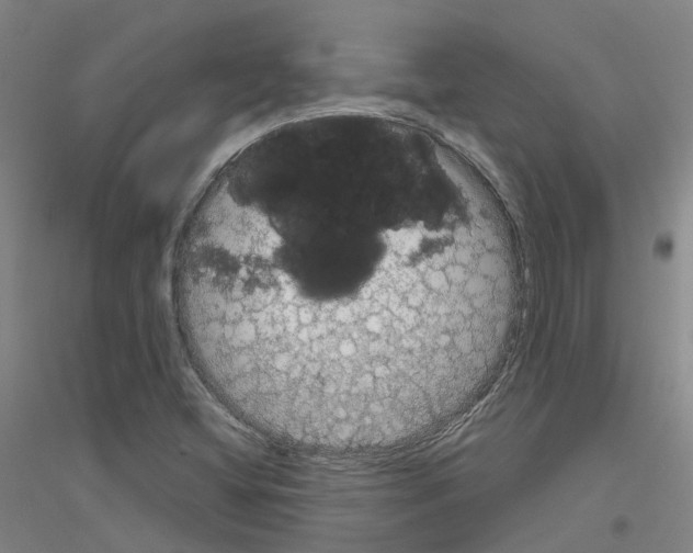 X0000116831404201001291633