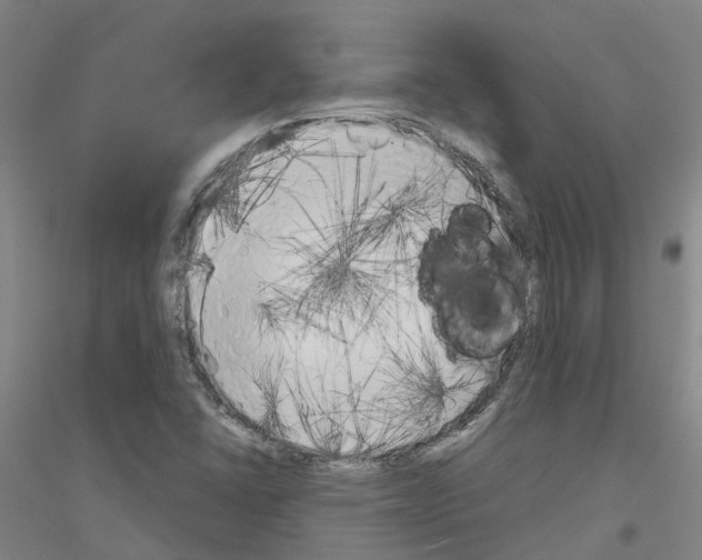 X0000116831406201001291633