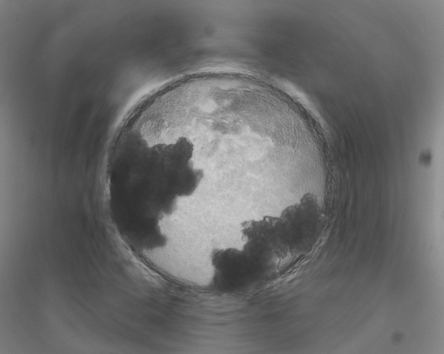 X0000116831408201001291633